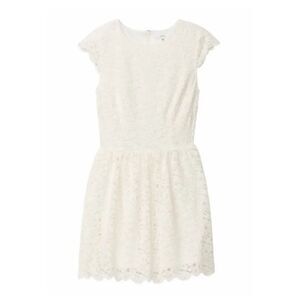Aritzia Talula Lace Dress
